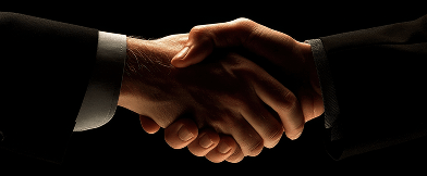 dsc partner